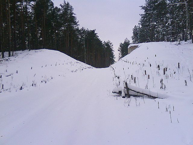 Puszcza S�upecka - 10.01.2010