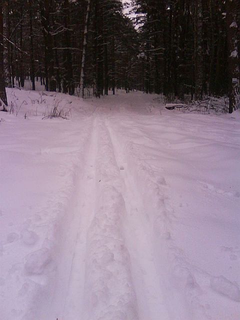 Puszcza S�upecka - 10.01.2010