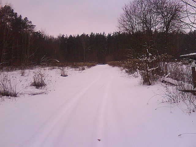 Puszcza S�upecka - 10.01.2010