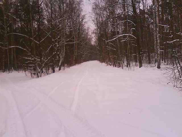 Puszcza S�upecka - 10.01.2010