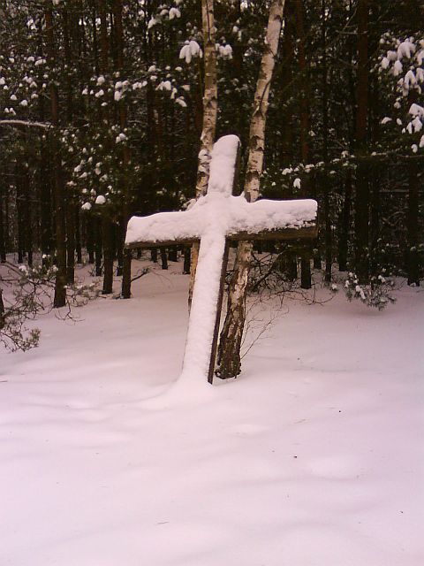 Puszcza S�upecka - 10.01.2010