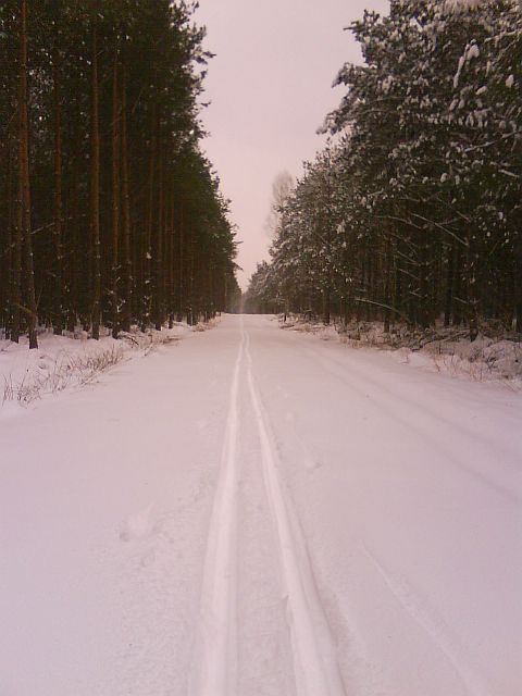 Puszcza S�upecka - 10.01.2010