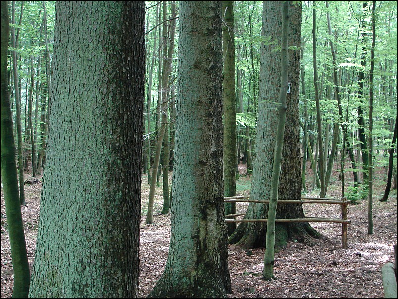 Dziesi�� starych ko�cio��w i jeden megalit