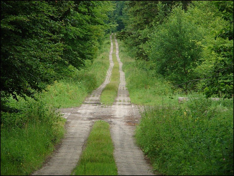 Dziesi�� starych ko�cio��w i jeden megalit