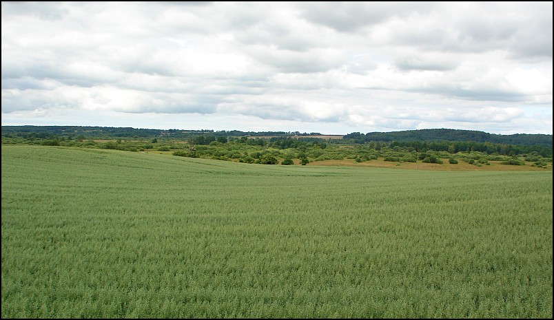 Dziesi�� starych ko�cio��w i jeden megalit